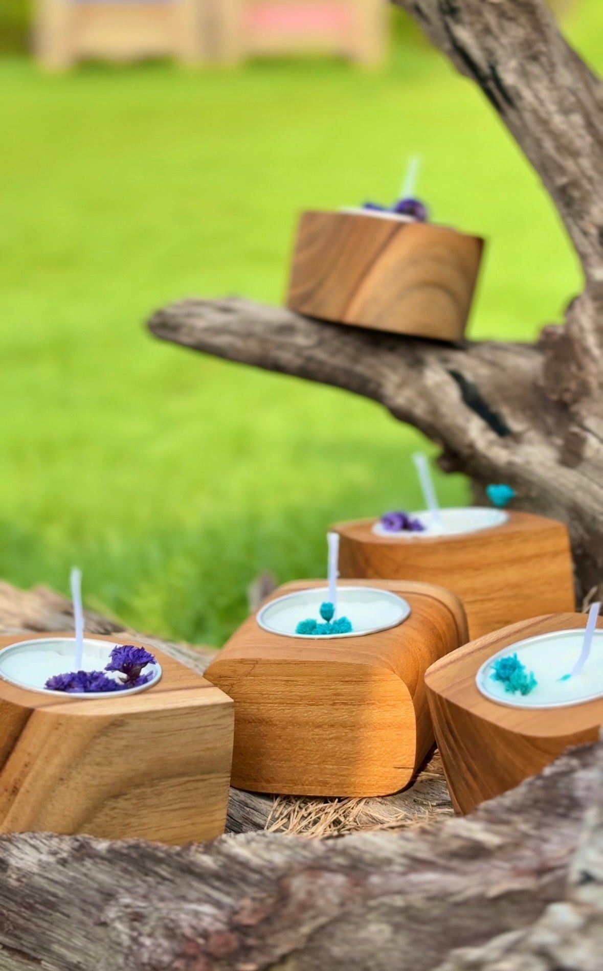 Mini Wooden Candle | 6 Unique Fragrances