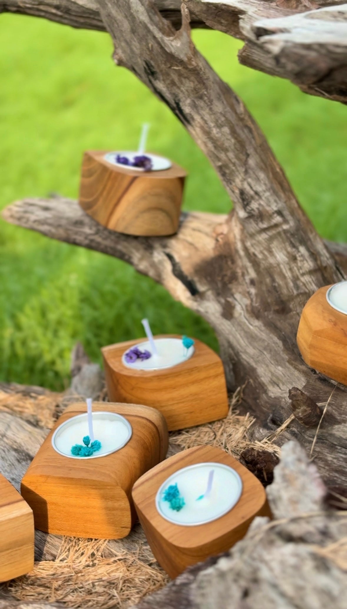 Mini Wooden Candle | 6 Unique Fragrances