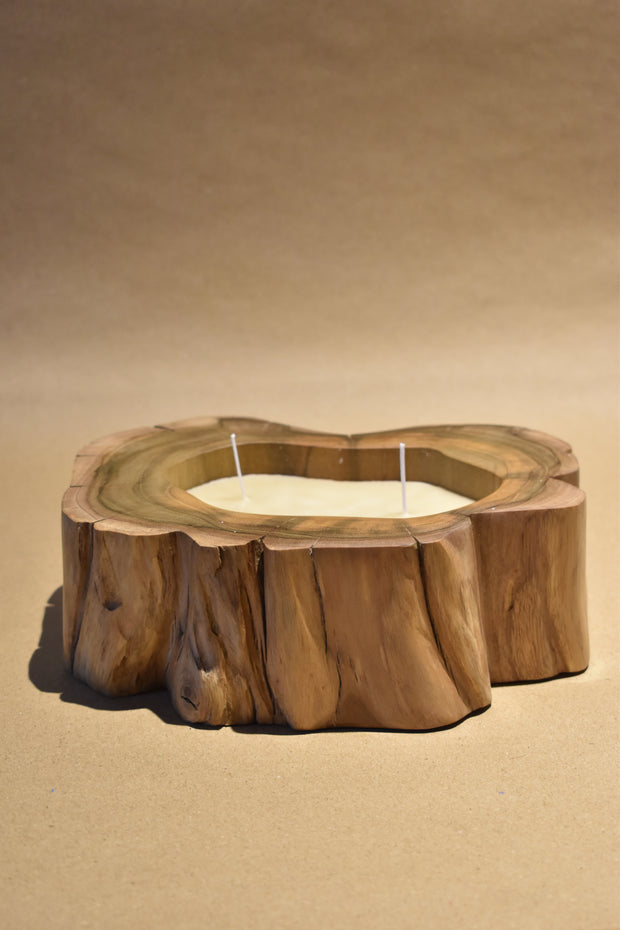 <h2>Live edge teak log candle</h2>